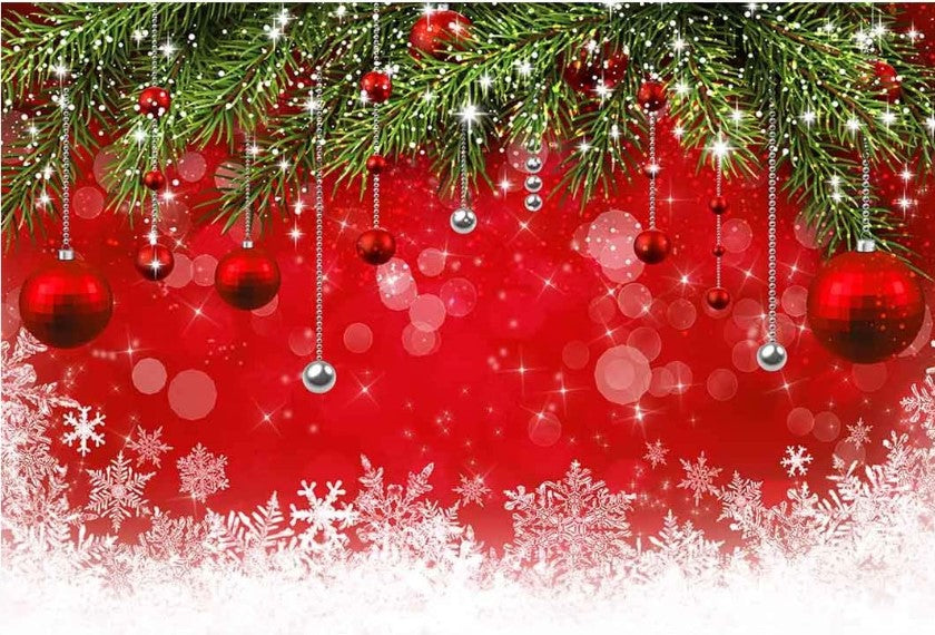 Vinyl Backdrops-Holidays